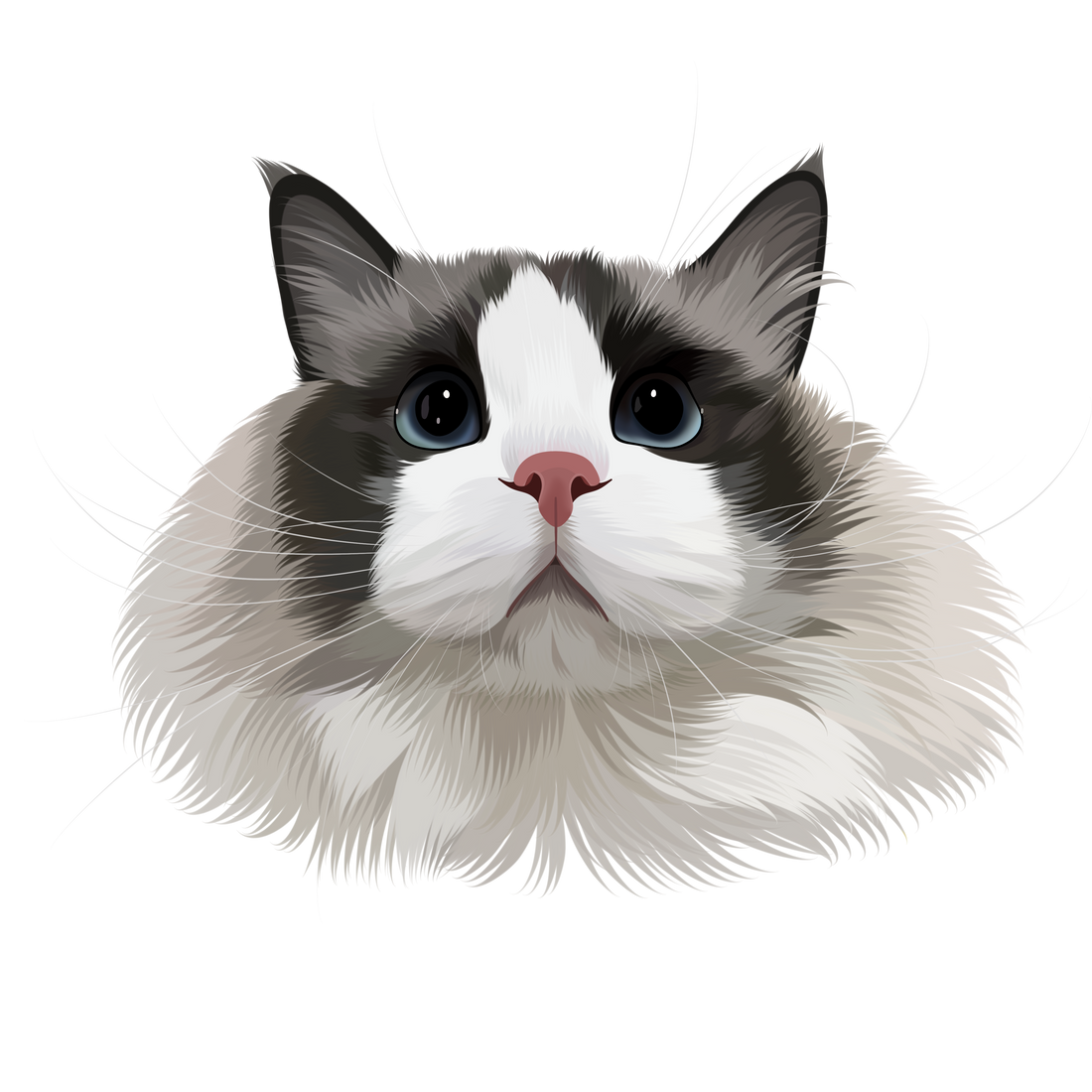 Why Custom Pet Products Are the Best Gifts for Dog & Cat Owners