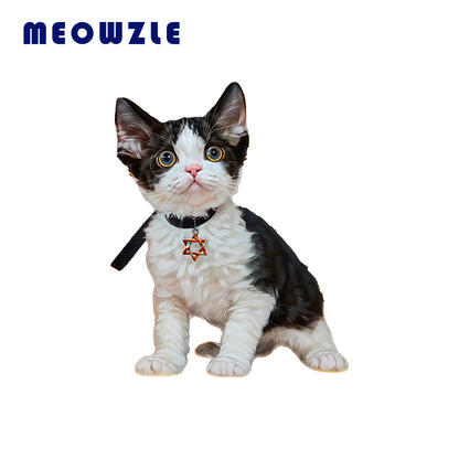 Personalized Pet Artwork - Digital Download - MEOWZLE