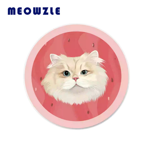 PET RUG-MelonMeadow
