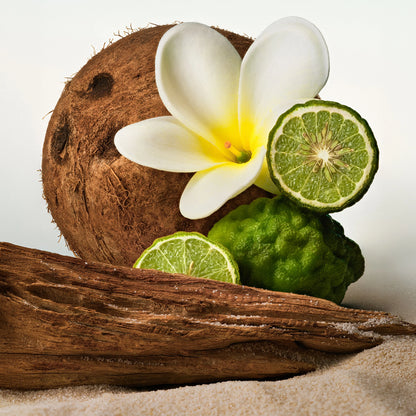 PHLUR Beach Skin Shimmering Body Oil